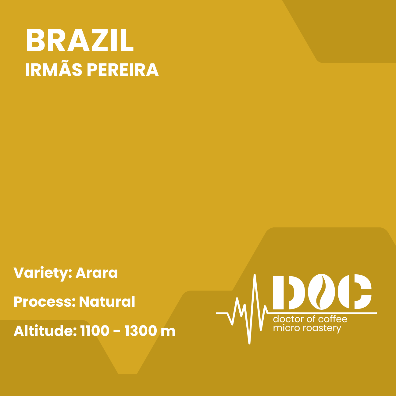 Arara Irmas Pereira