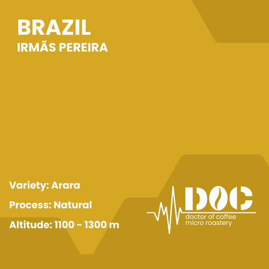 Arara Irmas Pereira